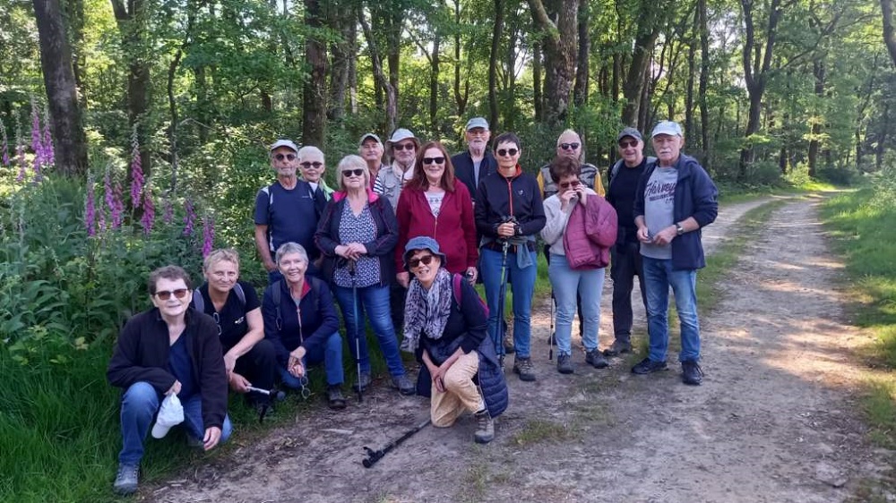 IMG_20250523_115241_01