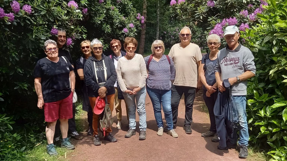 IMG_20250523_115253_01